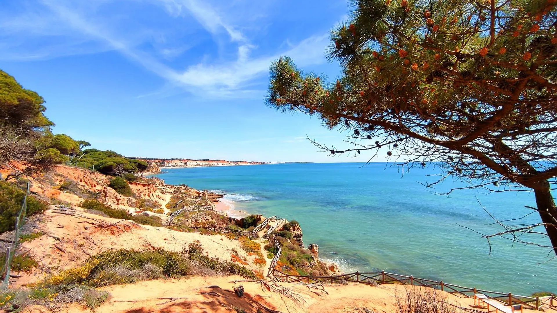 Marina Garden Palm Tree By Be Cherish Albufeira Daire