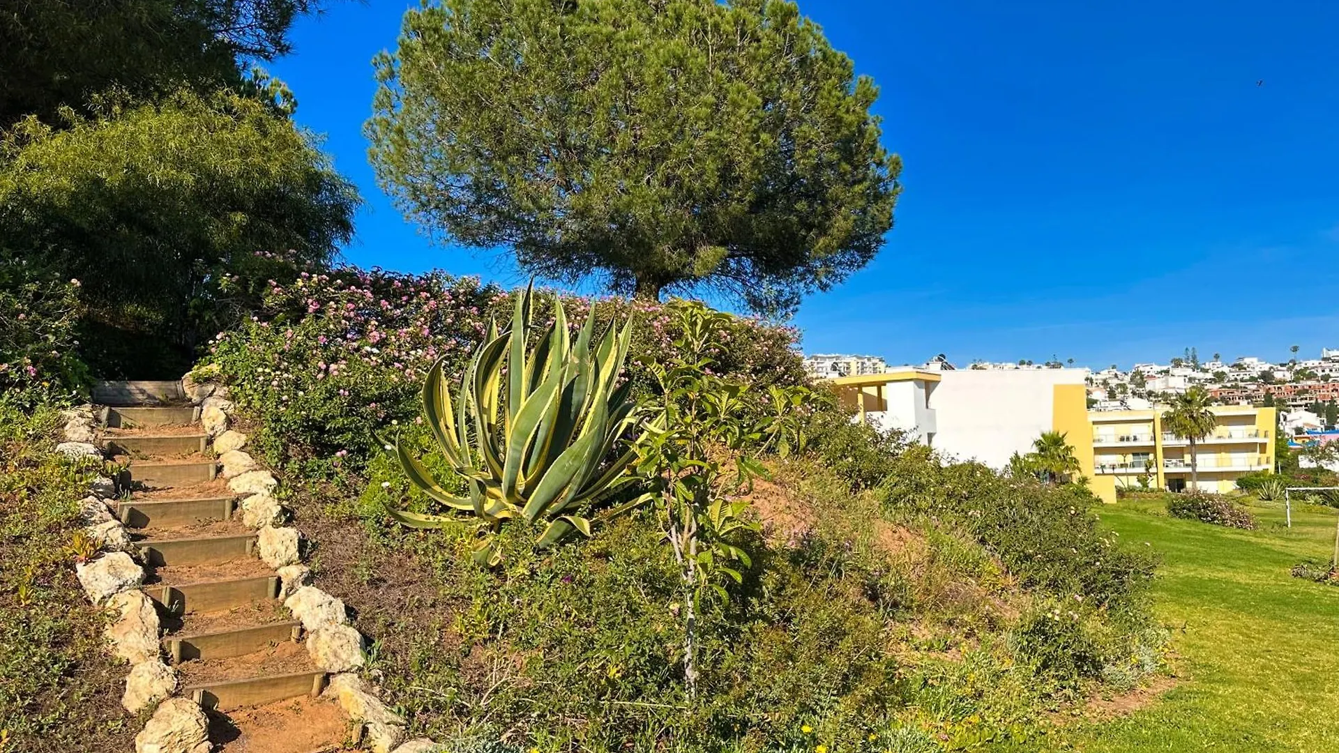 Daire Marina Garden Palm Tree By Be Cherish Albufeira
